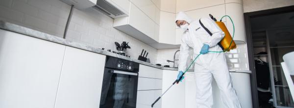 Are You looking for the Home Disinfection Services in Dubai?