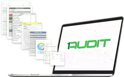 Audit Management Software In Saudi Arabia