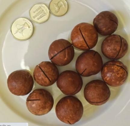 Fresh & Organic Dry Fruit Online