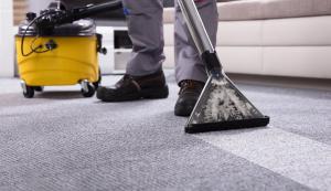 Best Area Rug Cleaner Bal Harbor