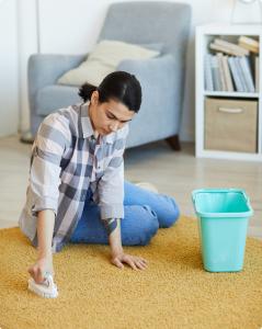 Best Carpet And Upholstery Cleaner Pembroke Pines