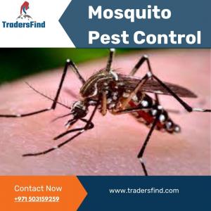 Connect with Top-Rated Mosquito Pest Control Companies in UAE