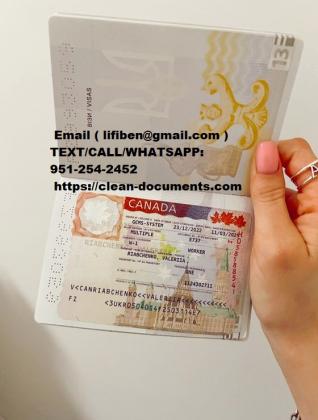 IDS, Passports, D license,