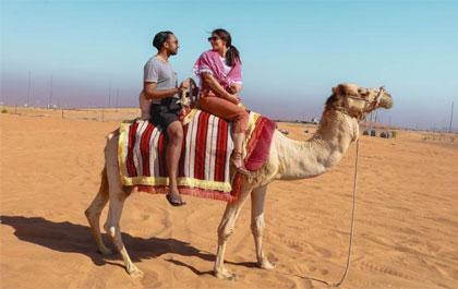 Desert Safari Abu Dhabi - 2023 Deals & Package Price