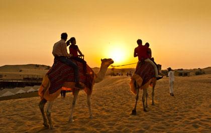 Desert Safari Abu Dhabi - 2023 Deals & Package Price