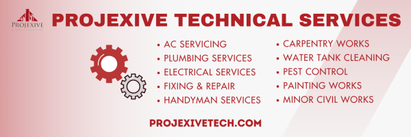 Projexive Technical Services L.L.C