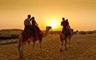 Desert Safari Abu Dhabi - 2023 Deals & Package Price