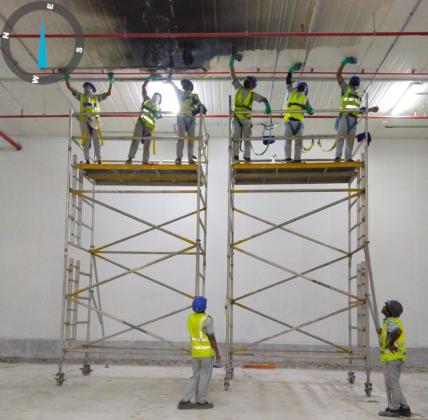 Name  Phone   Pest Control Service   Municipality Approved Pest Control and Facilities Services in UAE