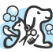 Pet Grooming Near Me - Petopia