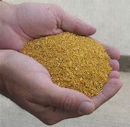 Premium Corn Distiller’s Dried Grains with Solubles (DDGS) – Wholesale Excellence