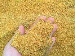 Premium Corn Distiller’s Dried Grains with Solubles (DDGS) – Wholesale Excellence