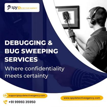 Debugging Services in Jaipur