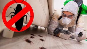 Eco Guardians Facilities Management Services