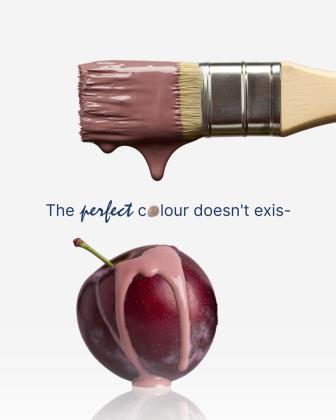 Best Interior and Exterior Paints in Dubai from Chameleon Paints