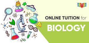 Biology Tuition for Class 12 – Understand Better, Score Higher with the Right Guidance