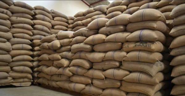 top-quality Ugandan robusta and Arabica coffee beans? Contact +27719755564.