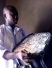+2347033464470 #Join ritual money occult in Marseille without human sacrifice #how to start?