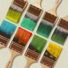 Best Interior and Exterior Paints in Dubai from Chameleon Paints
