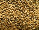 Green Coffee beans (Arabica Coffee) Grade: AA, A, and AB+27719755564