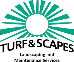 Fire Pits For Outdoor Living Spaces Raleigh