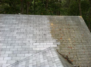 Pressure Roof Cleaning Wilderness